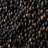 Price black Pepper Sarawak , Vietnam, Brazil contact us Mobile 0084 936 692 690