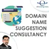 Domain Name Suggestion Consulting