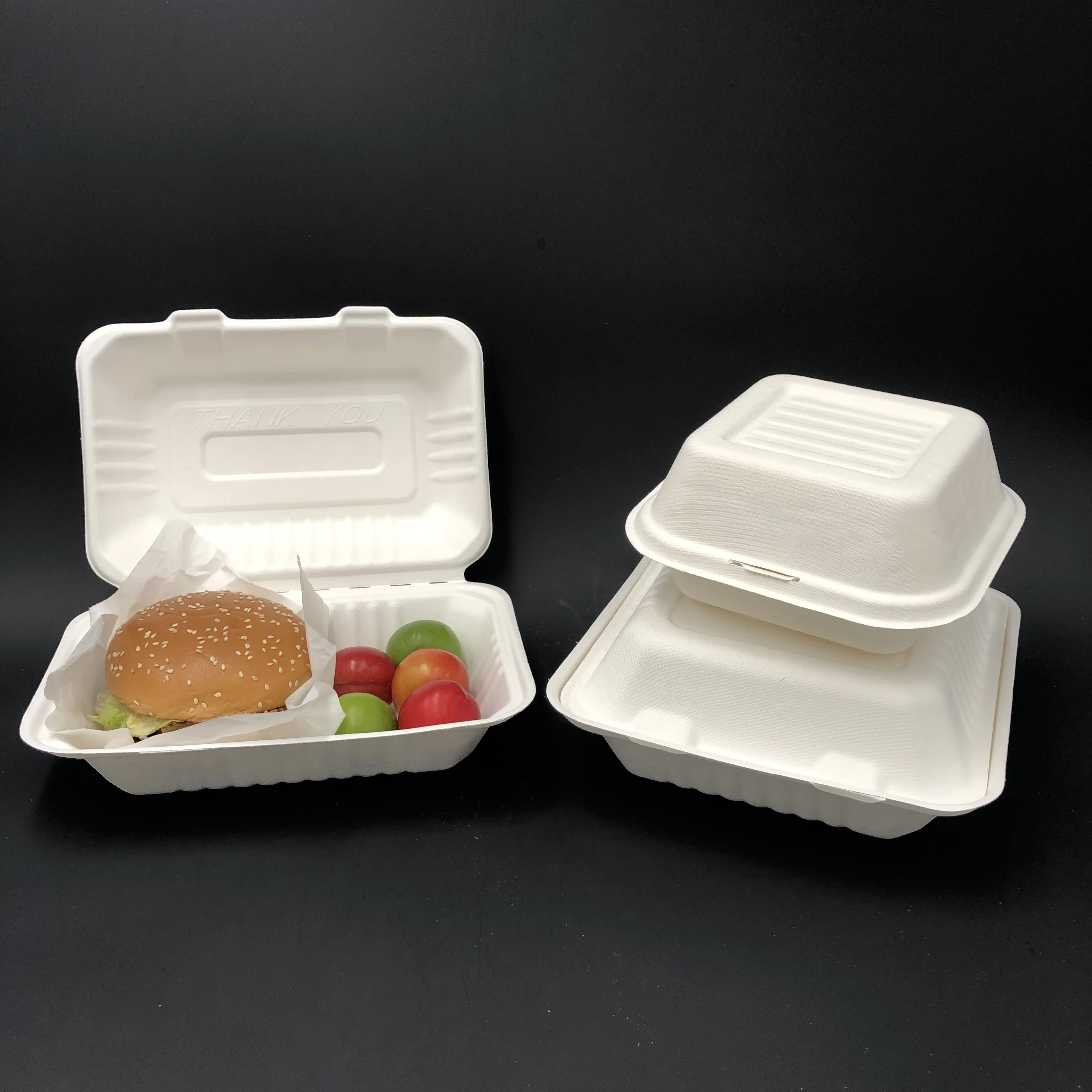 Eco Friendly Disposable Sugarcane Bagasse Biodegradable Takeaway ...