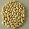 Raw Peanuts In Shell for sale