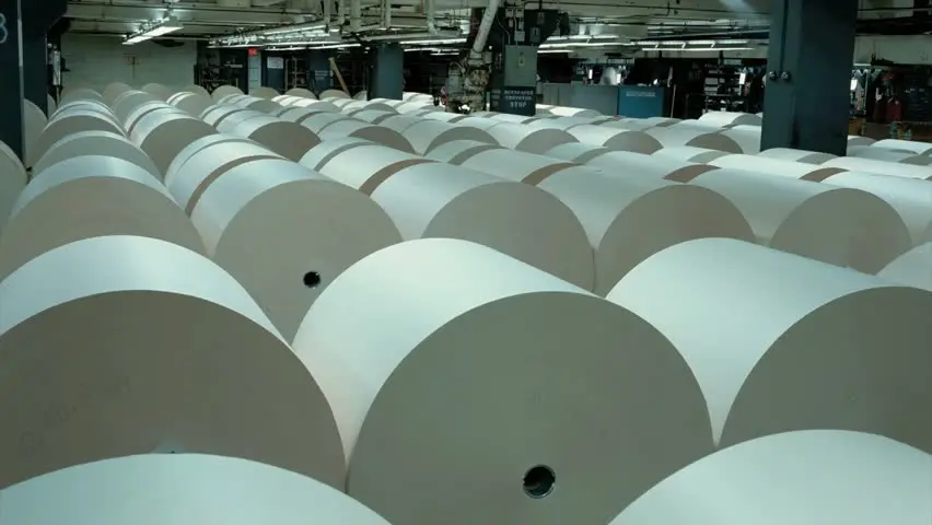 
quality newsprint paper 42gsm/45gsm/48gsm/60gsm 