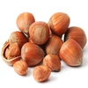 Quality Hazelnuts In shell & Kernels, Organic Hazel Nuts