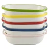 Hand painted color rimmed oblong shape cute custom stoneware non-stick bakeware