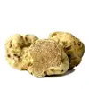 /product-detail/fresh-white-desert-truffle-shipped-directly-for-you-62007644119.html