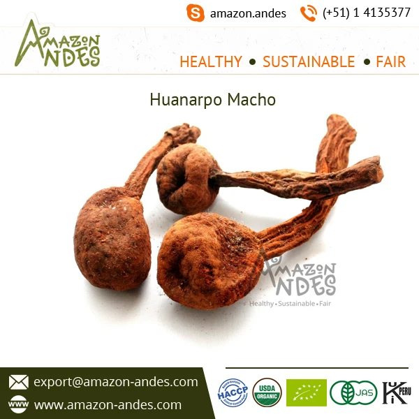 huanarpo-macho.jpg