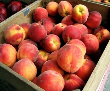 fresh red sweet peaches