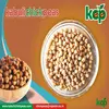 Fresh Garbanzo Beans Exporters