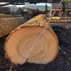 Quality Ash Logs