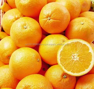 fresh citrus fruits, fresh mandarin oranges, valencia oranges &