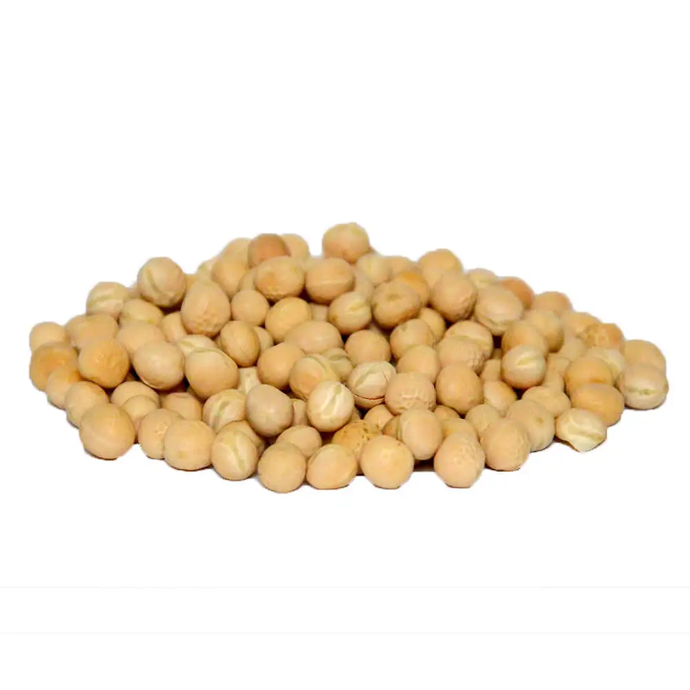 quality chickpea/chick pea market price