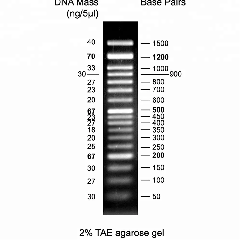 

50bp_50-1.5K bp_DNA Marker Ladder, ready-to-use, 500uL/pack, DNA mass sizing standard, free shipping