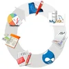 Drupal Customization Software System