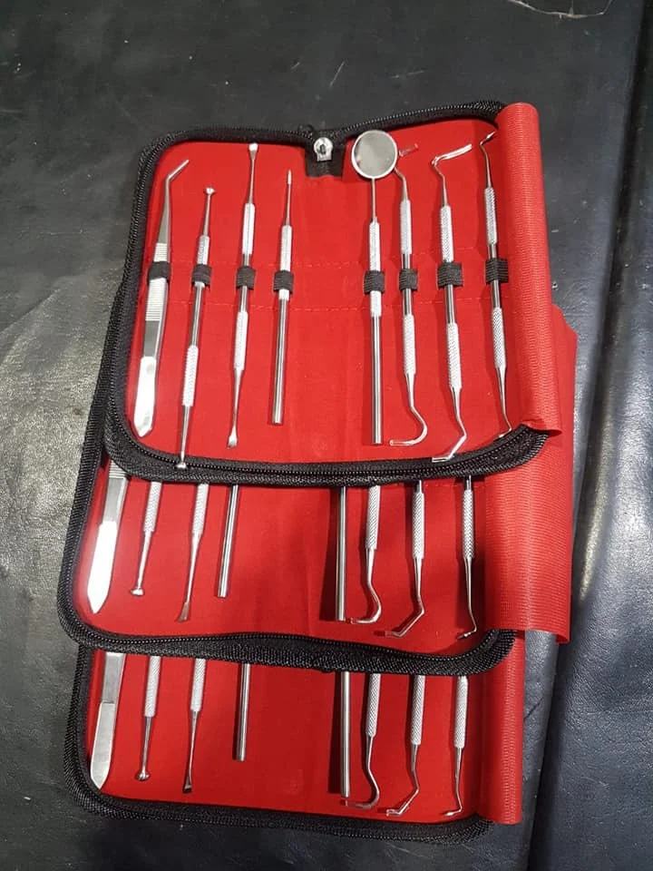 Complete Dental Hygiene Kit Professional Dental Oral Hygiene Kit 8 Tools Deep Cleaning Scaler