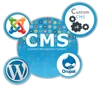 Web Hosting, Web Designing & Web Development Services, PHP, Joomla CMS