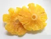 Dried Pineapple Slices from Vietnam for Summer 2018