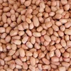Indian Origin Raw Peanuts
