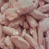 Halal Chicken Wing Tips / 2 Joint Wings / 3 Joint Wings for sale