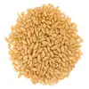 Wheat Exporter from India