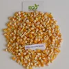 New Crop of Round Maize for Bird feed
