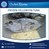100% Fresh Whole Round Frozen Yellowfin Tuna/ Sea Food for Bulk Buyer