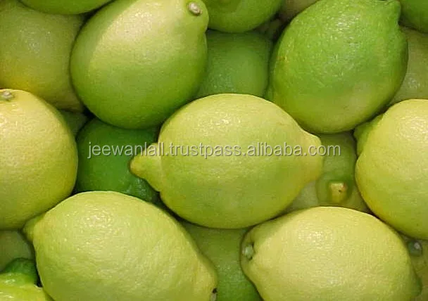 
hot selling high quality fresh yellow lemon for sale from South Africa 