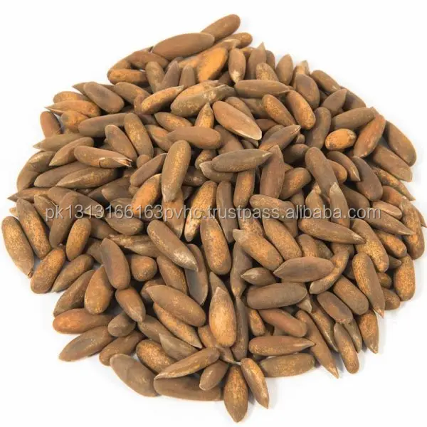 
Pine nuts chillgoza Pakistani pine nuts 