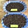 BLACK PEPPER/ WHITE PEPPER DOUBLE WASHED 630GL/ LIGHT PEPPER 0084971054925