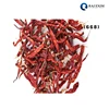 Top Quality Stemless Byadgi Dry Red Chili at Factory Price