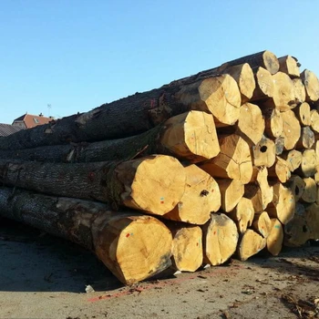  Merbau  Kwila Logs  Buy Pine Wood Logs  Eucalyptus Wood 