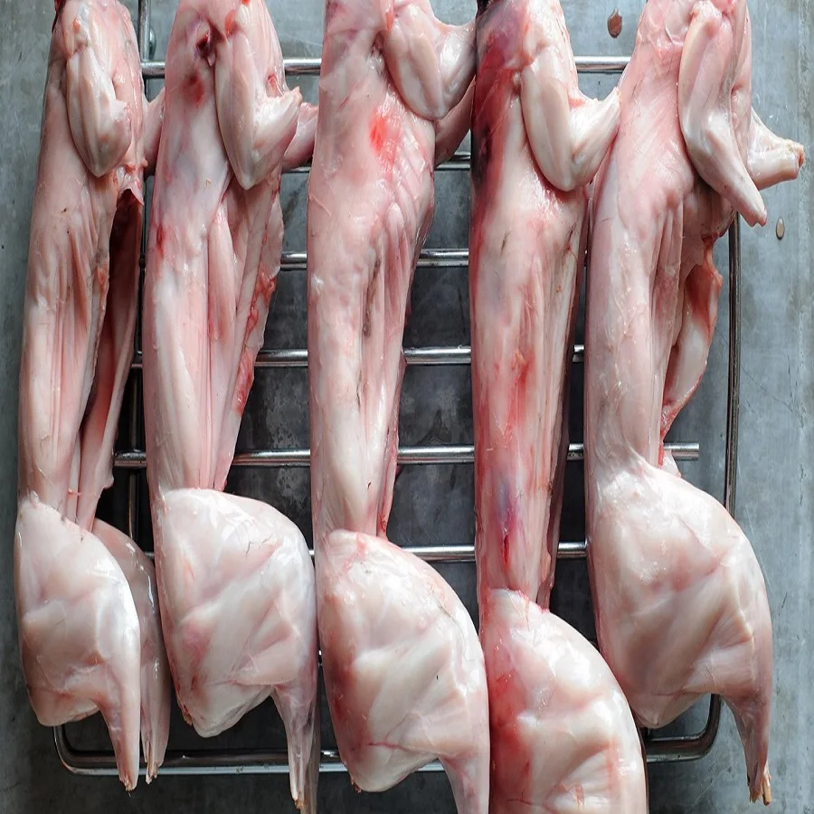 
FROZEN RABBIT HEADS FROM CHILE 