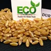 How To Import Wheat