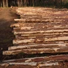/product-detail/pine-logs-50044889916.html