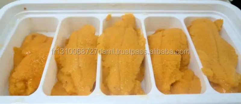 
Frozen and Live Sea Urchin 