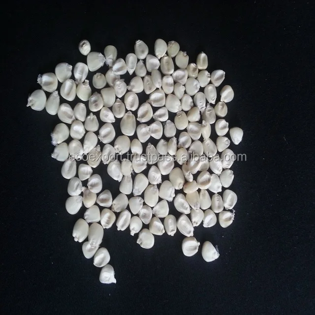 
Desi Maize 