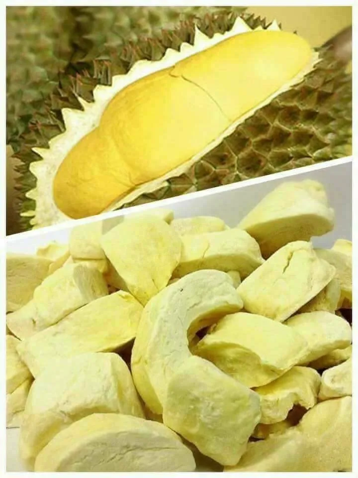 Premium Grade Freeze Dried Durian From Thailand In Foil Packaging - Buy ...