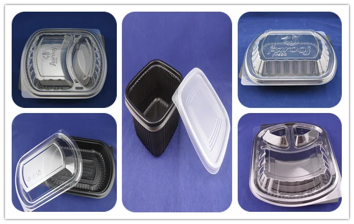 Disposable plastic 2 compartment takeaway lunch box