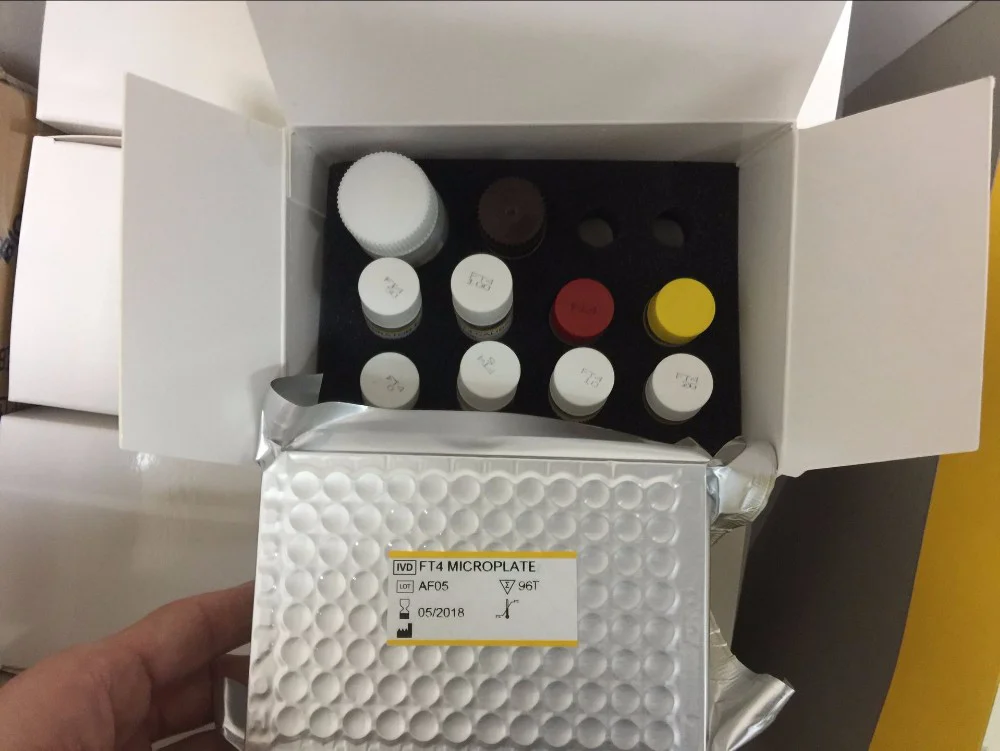 Research Use Human Leptin R Elisa Reagents /thyroid Elisa Kits Series