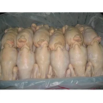 Замороженная Курица Фото