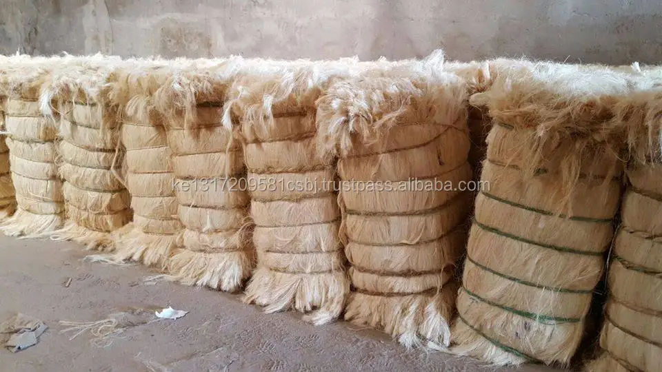 100 Natural Sisal Fiber Grade Ug / Sisal Fiber Available For Sale