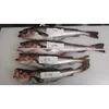 Hot Selling 800g Up Import Frozen Pollock Fish
