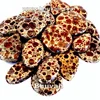 Student Project Study Geology Stone Astroite Jasper Loose Gemstone