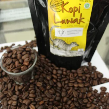 Terbaik Penjual Kopi  Luwak  Luwak  Biji Kopi  Arabika 