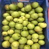 The Fresh Fruits Guava Supplier/ to Mexico/Canda/China
