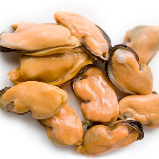 
Frozen Oyster Meat Half Shell Mussel 