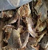 Top Quality Dry Stock Fish Cod From Norway 2019