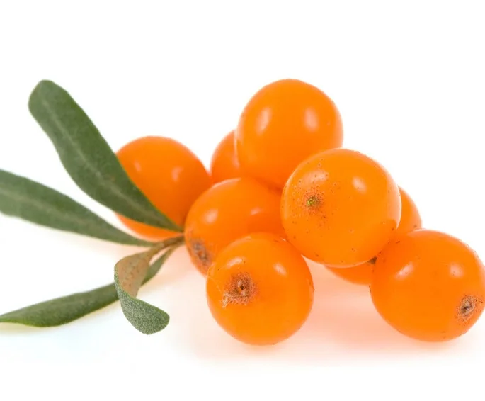 
Sea buckthorn berries CO2 extract 100% organic Altai Siberia Premium Quality 