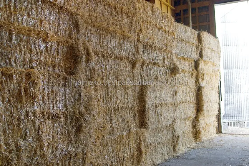 
Wheat bran in straw pellets animal feed 