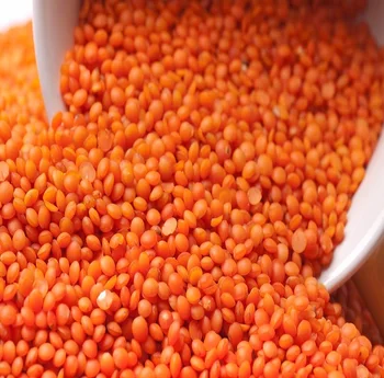 split red lentils and whole red lentils for sale in bulk