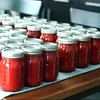 wholesale delicious canned tomato paste