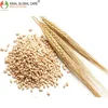 2019 Best Selling Wheat